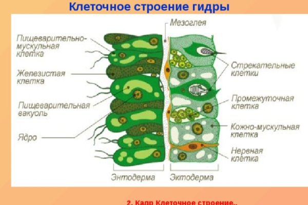 Кракен интернет площадка